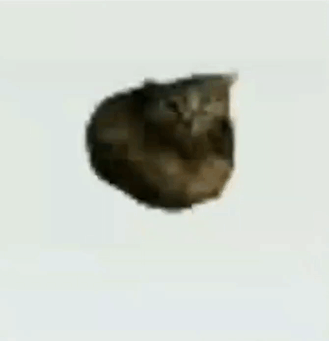 Top Left